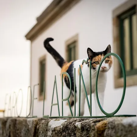 Faro Larino
